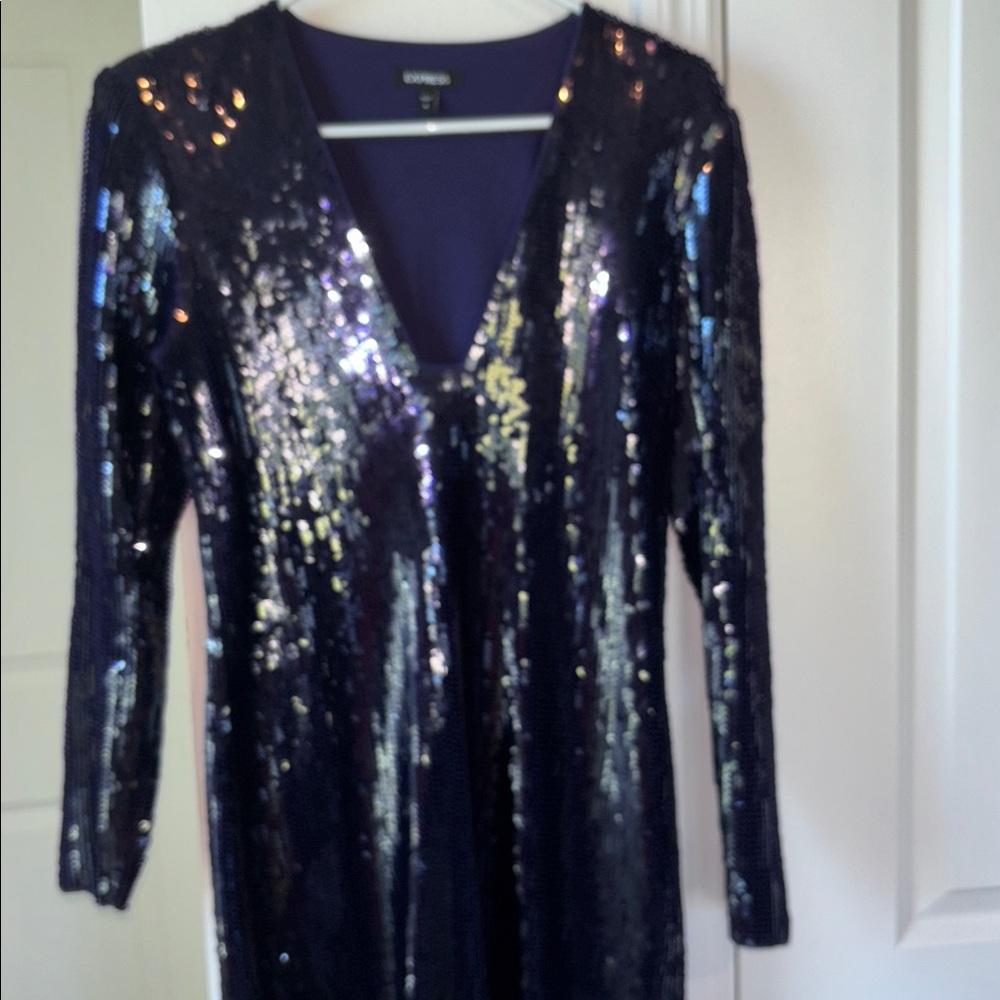 Express Midnight Sequin Dress